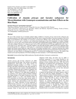 Cultivation of Amanita Princeps and Gyrodon Suthepensis for Mycorrhizations with Castanopsis Acuminatissima and Their Effects on the Host Plants