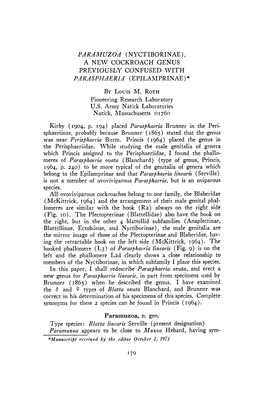 Paramuzoa, N. Gen. T.Ype Species: Blatta Linearis Serville (Present Designation) Paramuzoa Appears To