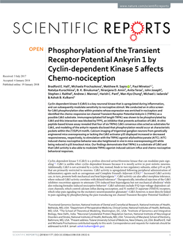 Phosphorylation of the Transient Receptor Potential Ankyrin 1 By