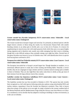 Greater Noctule Bat (Nyctalus Lasiopterus) IUCN Conservation Status