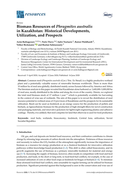 Biomass Resources of Phragmites Australis in Kazakhstan: Historical Developments, Utilization, and Prospects