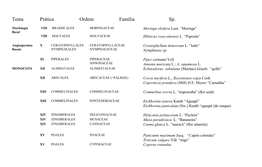 Listagem De Espécies (Práticas)