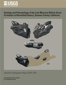 Geology and Paleontology of the Late Miocene Wilson Grove Formation at Bloomfield Quarry, Sonoma County, California