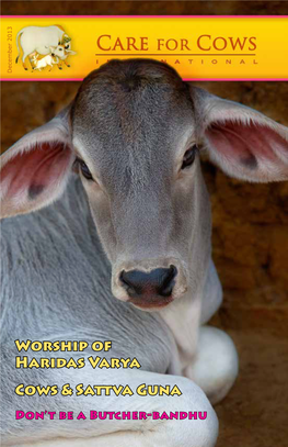 Worship of Haridas Varya Cows & Sattva Guna