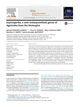 Guyanagarika, a New Ectomycorrhizal Genus of Agaricales from the Neotropics