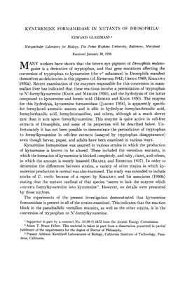 KYNURENINE Forjlahlidase in MUTANTS of DROSOPHILA' Workers Have Shown That the Brown Eye Pigment of Drosophila Melano