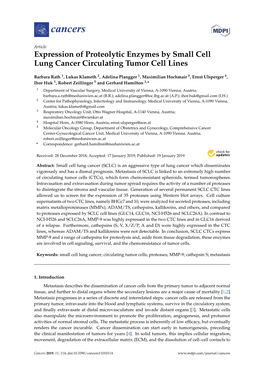 Expression of Proteolytic Enzymes by Small Cell Lung Cancer Circulating Tumor Cell Lines