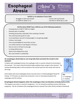 Esophageal Atresia, the Esophagus Ends in a Pouch Instead of Connecting to the Stomach