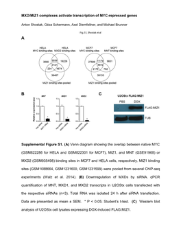 MXD/MIZ1 Complexes Activate Transcription of MYC-Repressed Genes