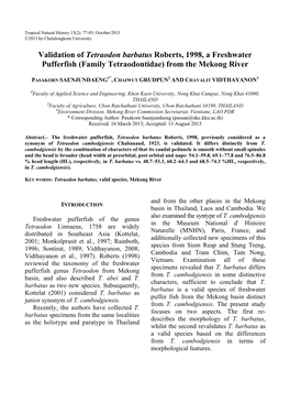 Validation of Tetraodon Barbatus Roberts, 1998, a Freshwater Pufferfish (Family Tetraodontidae) from the Mekong River