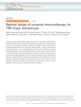 Rational Design of Universal Immunotherapy for Tfr1-Tropic Arenaviruses