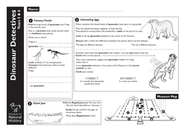 Dinosaur Detectives Years 5 & 6 Which Oneiswhich? Name: T Rex T Is a One Isacarnivore (Eatsmeat)Andtheother Iguanodon in Thecentralcourt