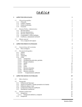 Diagnostico Municipal Consolidado