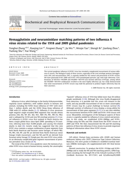 Hemagglutinin and Neuraminidase Matching Patterns of Two Influenza