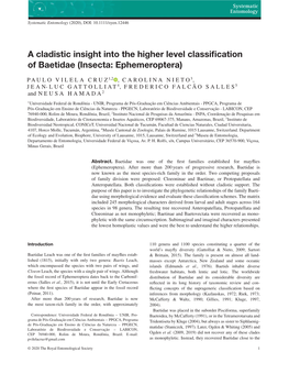 A Cladistic Insight Into the Higher Level Classification Of