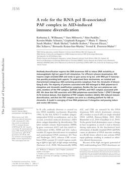 A Role for the RNA Pol II–Associated PAF Complex in AID-Induced Immune Diversification