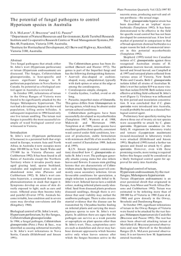 The Potential of Fungal Pathogens to Control Hypericum Species In