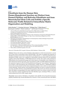 Fibroblasts from the Human Skin Dermo-Hypodermal Junction Are