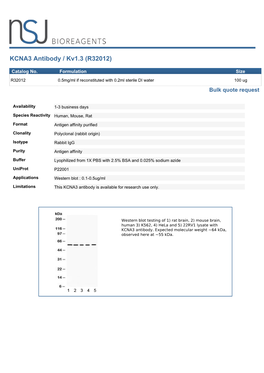 KCNA3 Antibody / Kv1.3 (R32012)