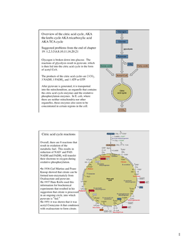 1,2,3,5,6,8,10,11,16,20,21 Citric Acid Cycle Reactions