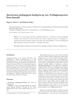 Sporisorium Cymbopogonis-Bombycini Sp. Nov. (Ustilaginomycetes) from Australia