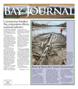 Coronavirus Hinders Bay Restoration Efforts, Seafood Industry