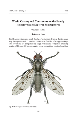 World Catalog and Conspectus on the Family Helcomyzidae (Diptera: Schizophora)