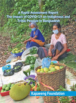 A Rapid Assessment Report: the Impact of COVID-19 on Indigenous and Tribal Peoples in Bangladesh