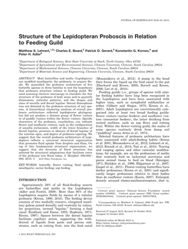 Structure of the Lepidopteran Proboscis in Relation to Feeding Guild