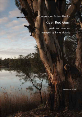 Red River Gum CAP Jan 2020