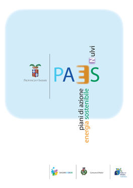 Piano Di Azione Per L'energia Sostenibile