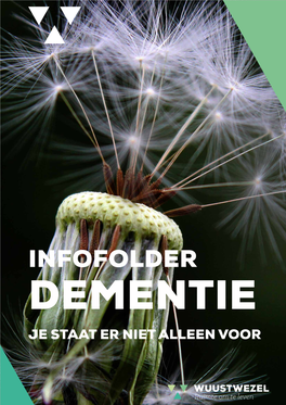 INFOFOLDER DEMENTIE JE STAAT ER NIET ALLEEN VOOR Je Staat Er Niet Alleen Voor!