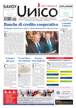 Banche Di Credito Cooperativo