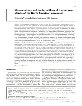 Microanatomy and Bacterial Flora of the Perineal Glands of the North American Porcupine