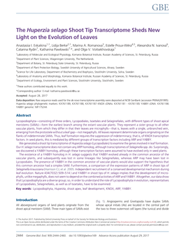 The Huperzia Selago Shoot Tip Transcriptome Sheds New Light on the Evolution of Leaves