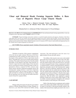 Ulnar and Humeral Heads Forming Separate Bellies. a Rare Case of Digastric Flexor Carpi Ulnaris Muscle