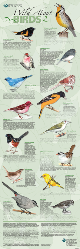 American Redstart Purple Finch Yellow Warbler White-Crowned Sparrow