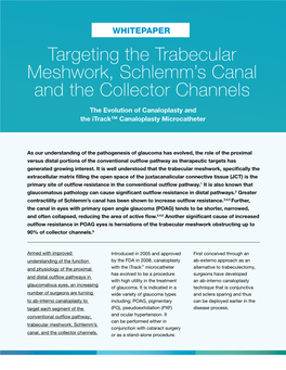 Targeting the Trabecular Meshwork, Schlemm's Canal and the Collector Channels