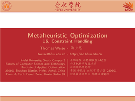 Metaheuristic Optimization 16