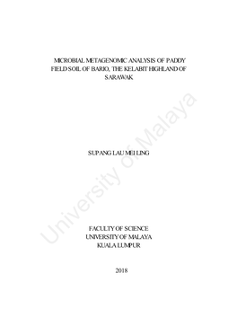 Microbial Metagenomic Analysis of Paddy Field Soil of Bario, the Kelabit Highland of Sarawak
