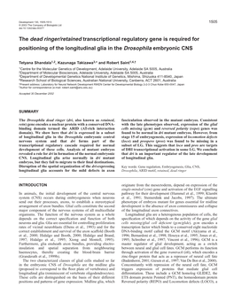 The Dead Ringer/Retained Transcriptional Regulatory Gene Is Required for Positioning of the Longitudinal Glia in the Drosophila Embryonic CNS