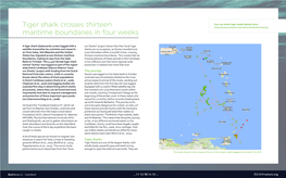 Tiger Shark Crosses Thirteen Maritime Boundaries in Four Weeks Would You Like to Share a News Item? Please E-Mail Us: Research@Dcnanature.Org