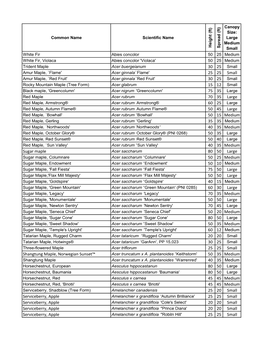 Desirable Street Tree List (PDF)