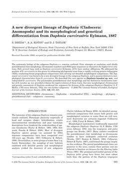 A New Divergent Lineage of Daphnia (Cladocera: Anomopoda) and Its Morphological and Genetical Differentiation from Daphnia Curvirostris Eylmann, 1887