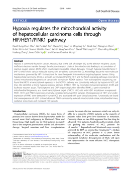 Hypoxia Regulates the Mitochondrial Activity of Hepatocellular Carcinoma