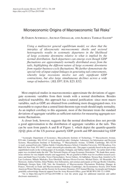 Microeconomic Origins of Macroeconomic Tail Risks†