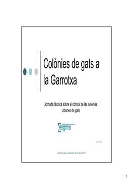 Colònies De Gats a La Garrotxa