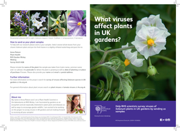 What Viruses Affect Plants in UK Gardens?