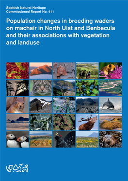 Population Changes in Breeding Waders on Machair in North Uist and Benbecula and Their Associations with Vegetation and Landuse