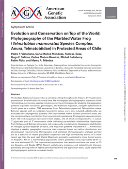 Evolution and Conservation on Top of the World: Phylogeography of The